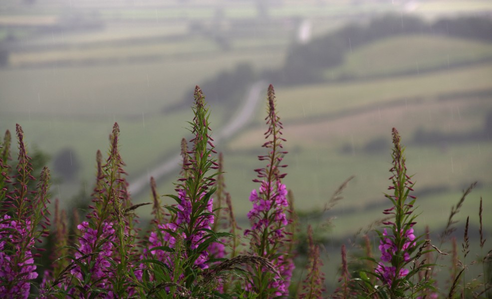 Sutton Bank MMB 06