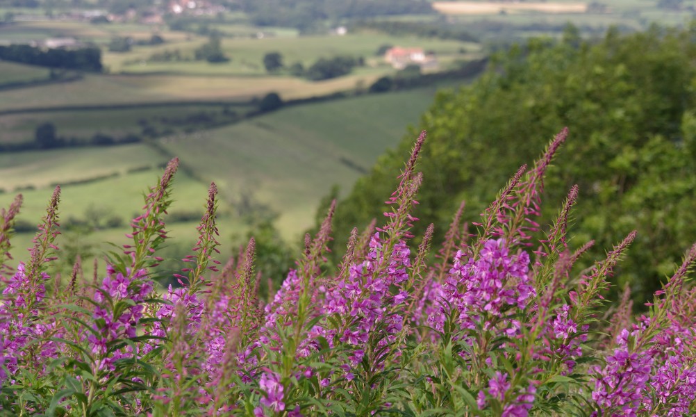 Sutton Bank MMB 09
