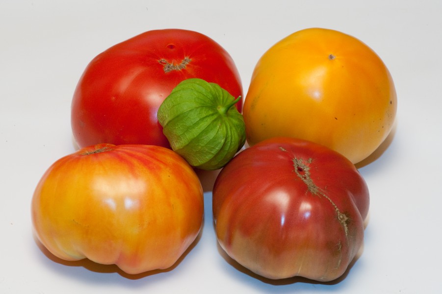 Tomatoes (3891408654)
