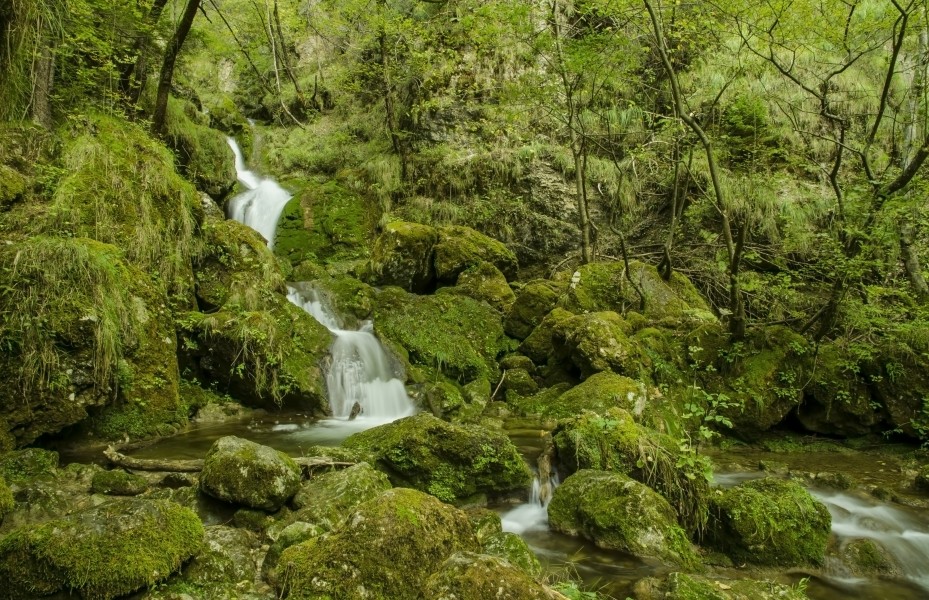 Torrente Centa - Parco fluviale