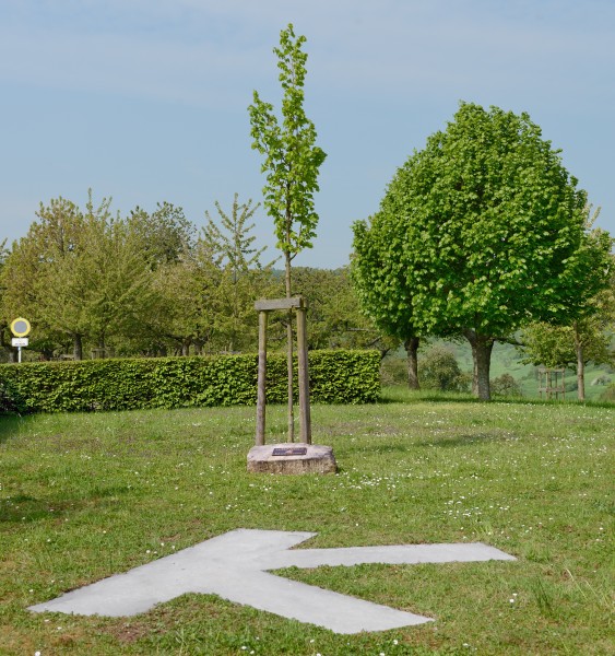 Trintange Mont-St-Étienne arbre et plaque
