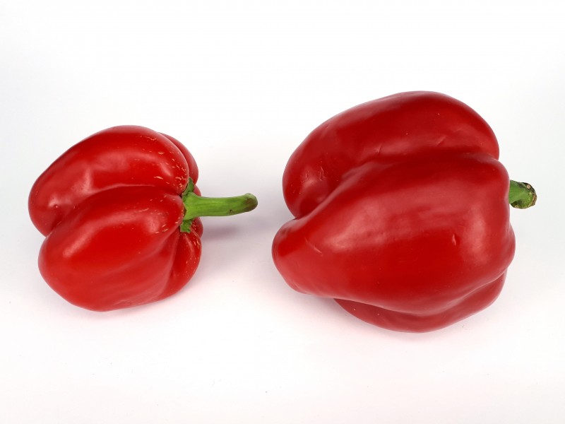 Two red bell peppers 2017 A
