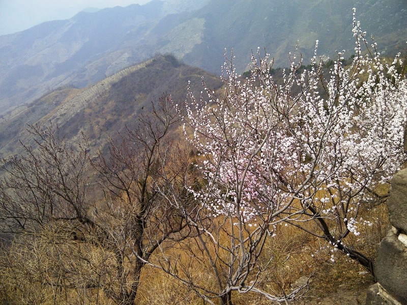 View from the Great Wall (Mutianyu)