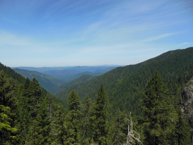 View north from Siskiyous in CA