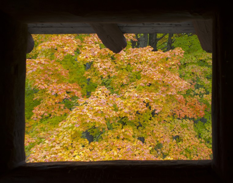 Vista desde la torre de observación, Parque Estatal Brown County, Indiana, Estados Unidos, 2012-10-14, DD 08