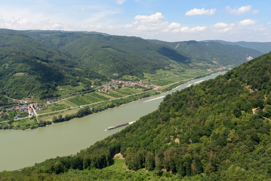 Wachau bei Aggstein 20180527