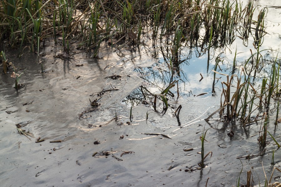 Wak in ijs door de onderstroom. Locatie, Natuurterrein De Famberhorst 01