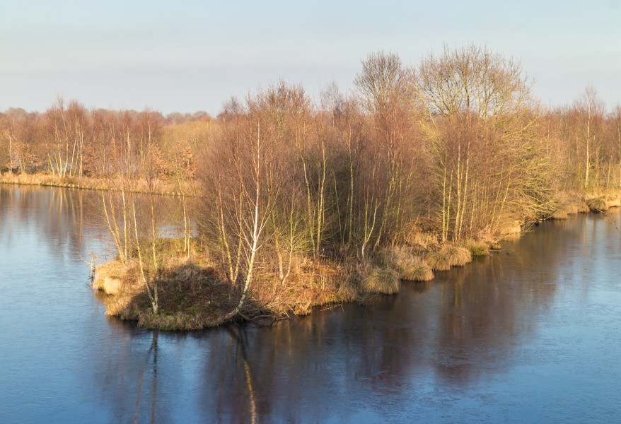 Wandelingen door de laagveenmoerassen De Deelen 049