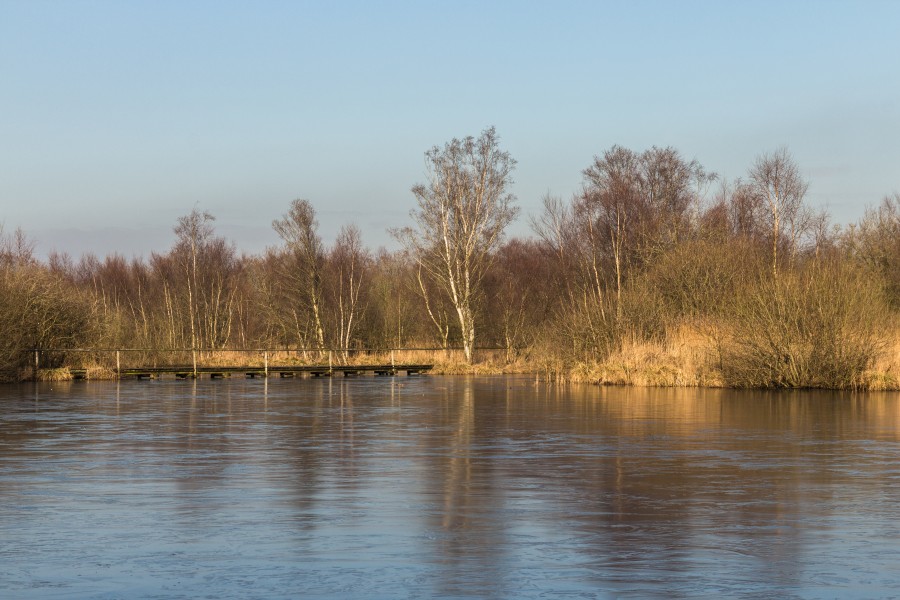 Wandelingen door de laagveenmoerassen De Deelen 10