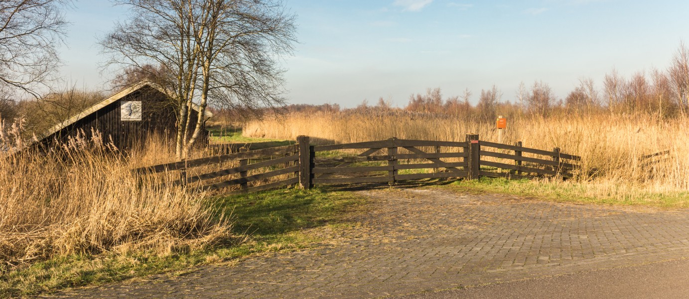 Wandelingen door de laagveenmoerassen De Deelen 26