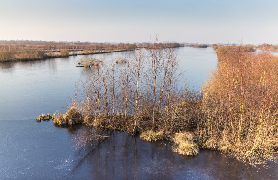 Wandelingen door de laagveenmoerassen De Deelen A 36
