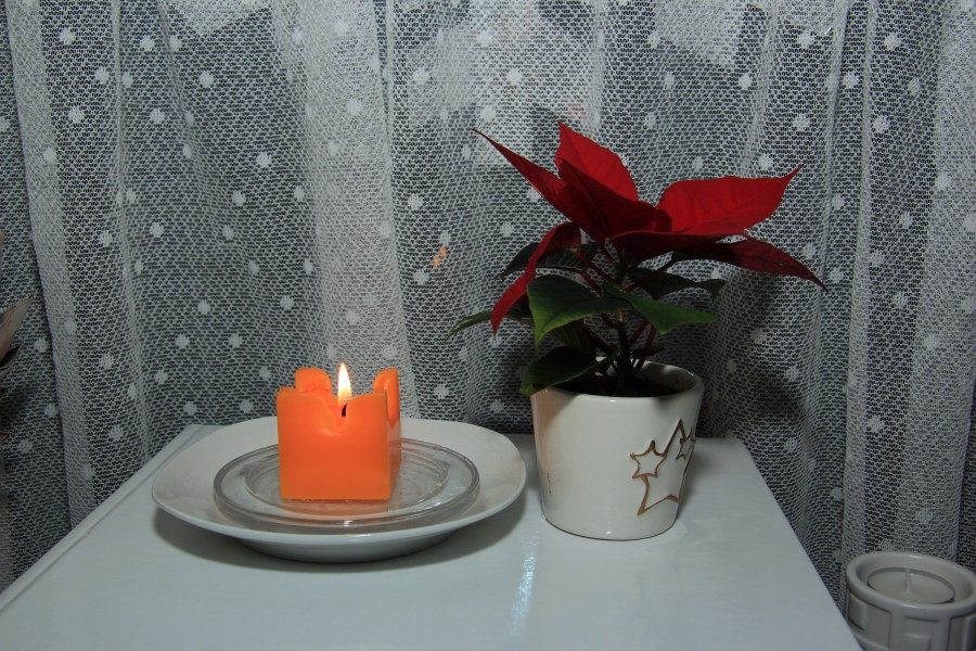 Weihnachtsstern 3928