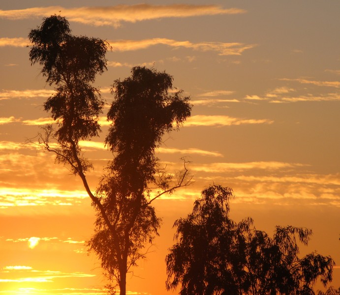 Winter sunrise in Chandler, Arizona