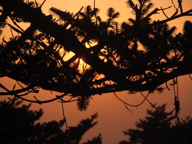 Wonderful nature002