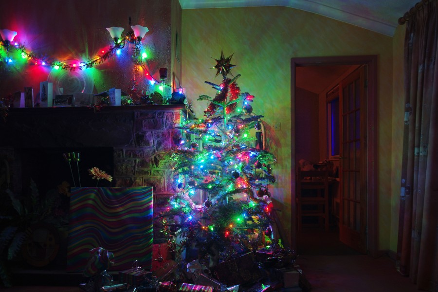 Wraxall 2011 MMB 55 Christmas tree