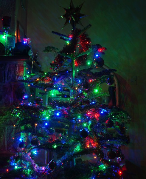 Wraxall 2011 MMB 58 Christmas tree