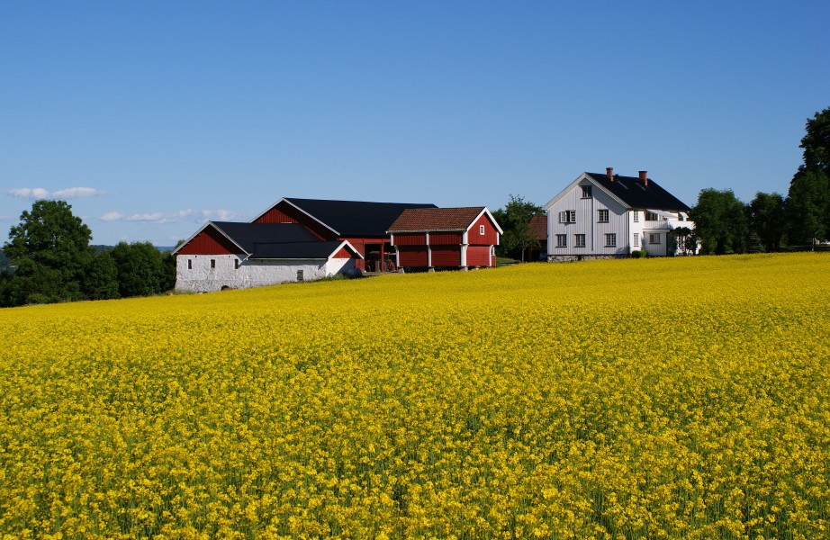 Yellow 2 (4736651460)