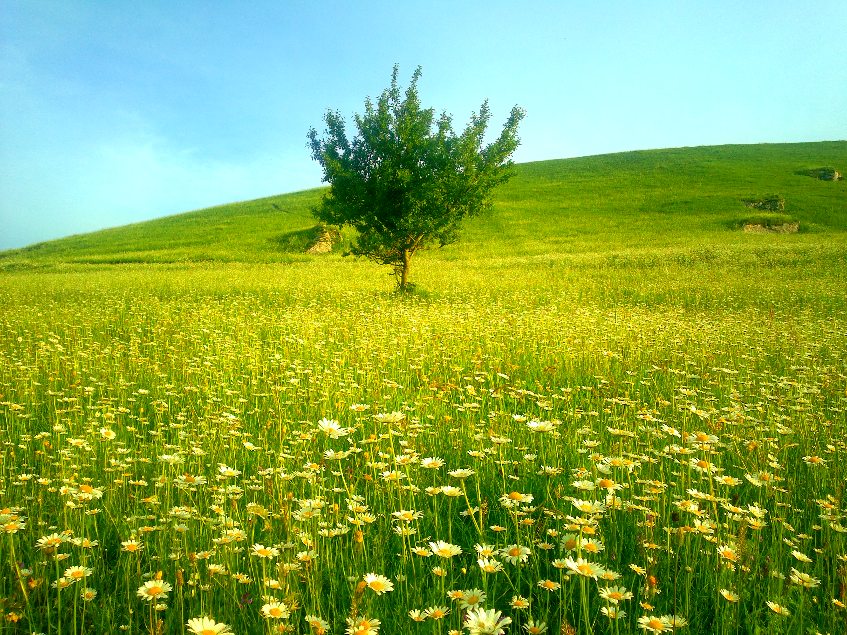 Qusar landscape