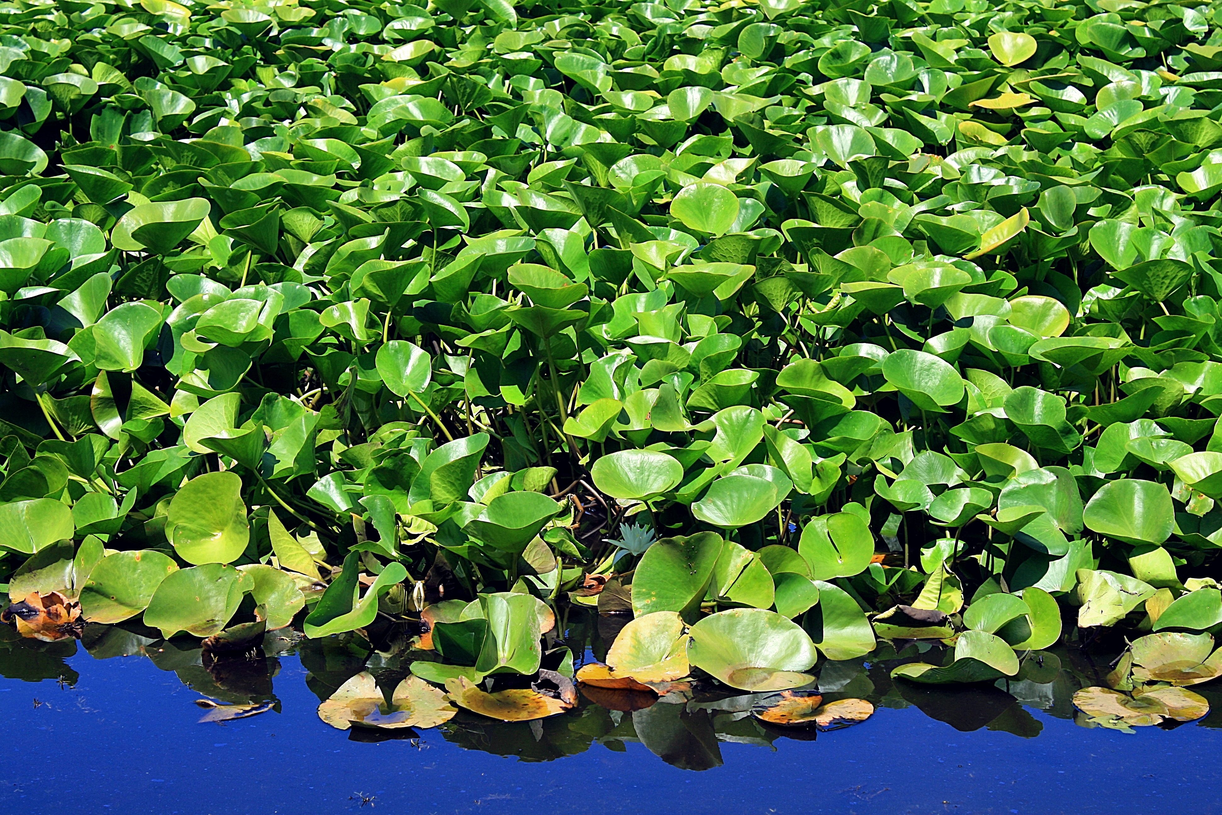 Réserve Naturelle de Mejen Chitana 1