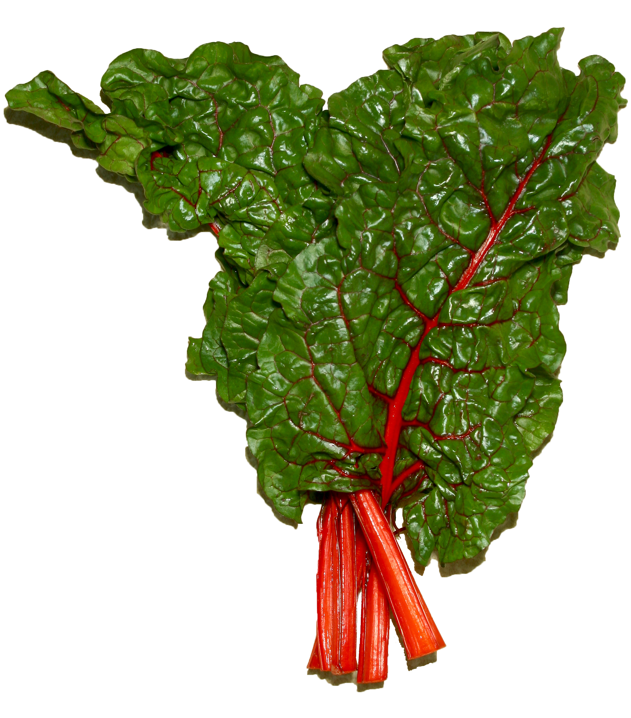 Red chard