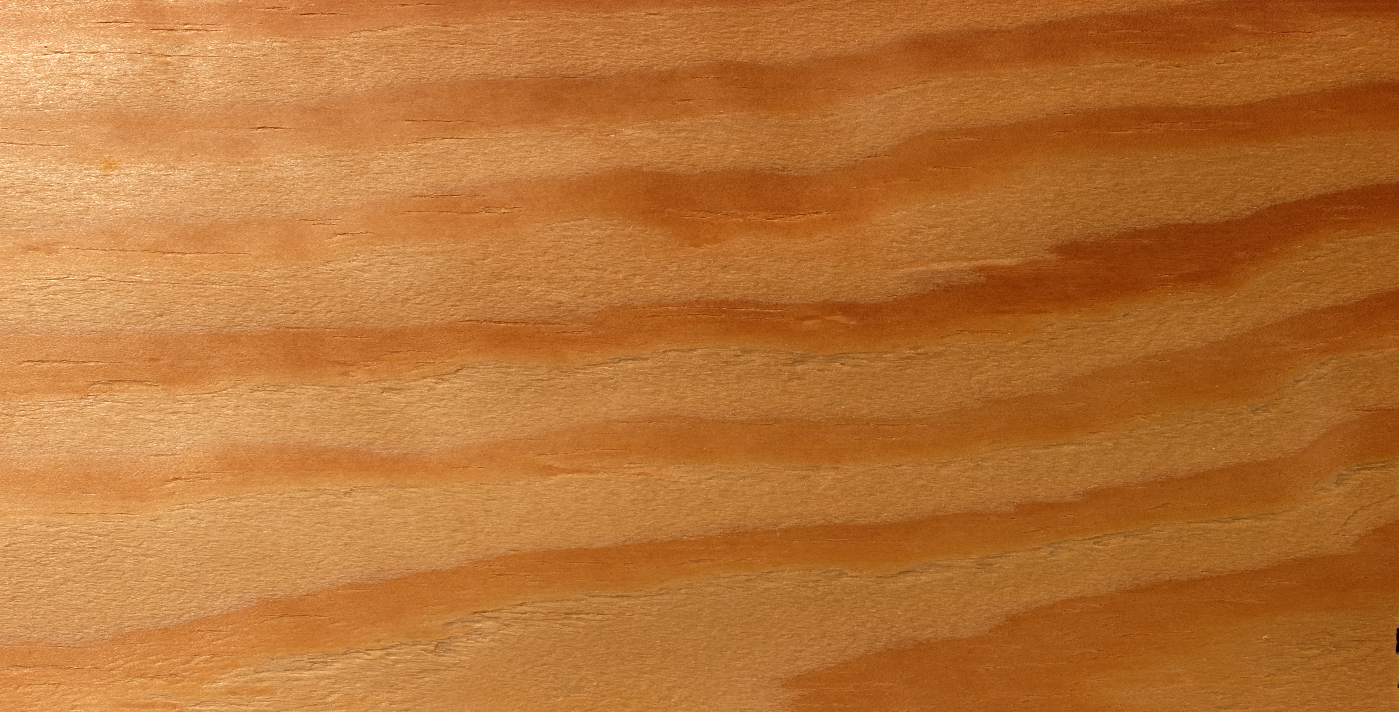 Red Pine