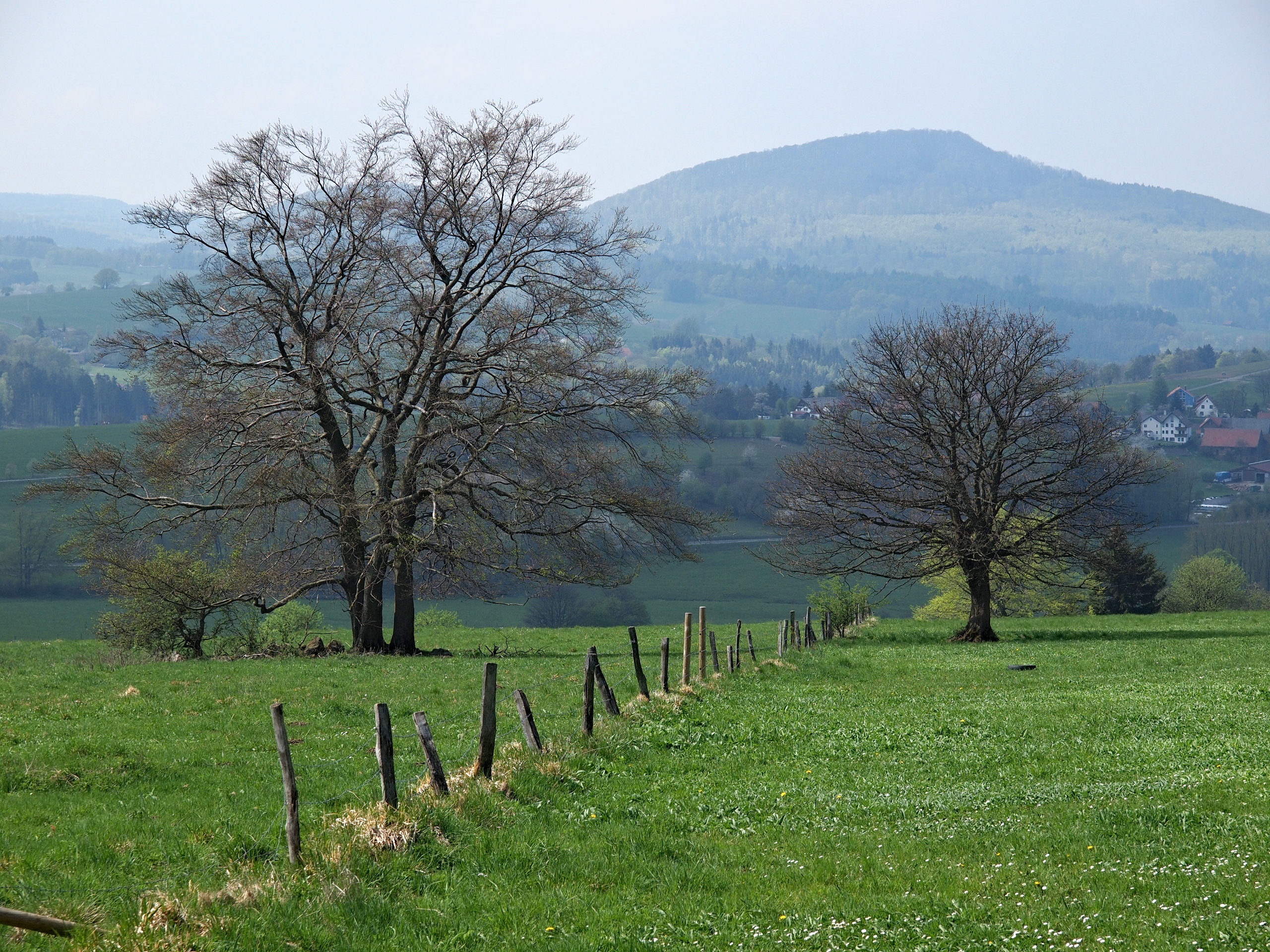 Rhönbäume-Mosbach-Nallenberg