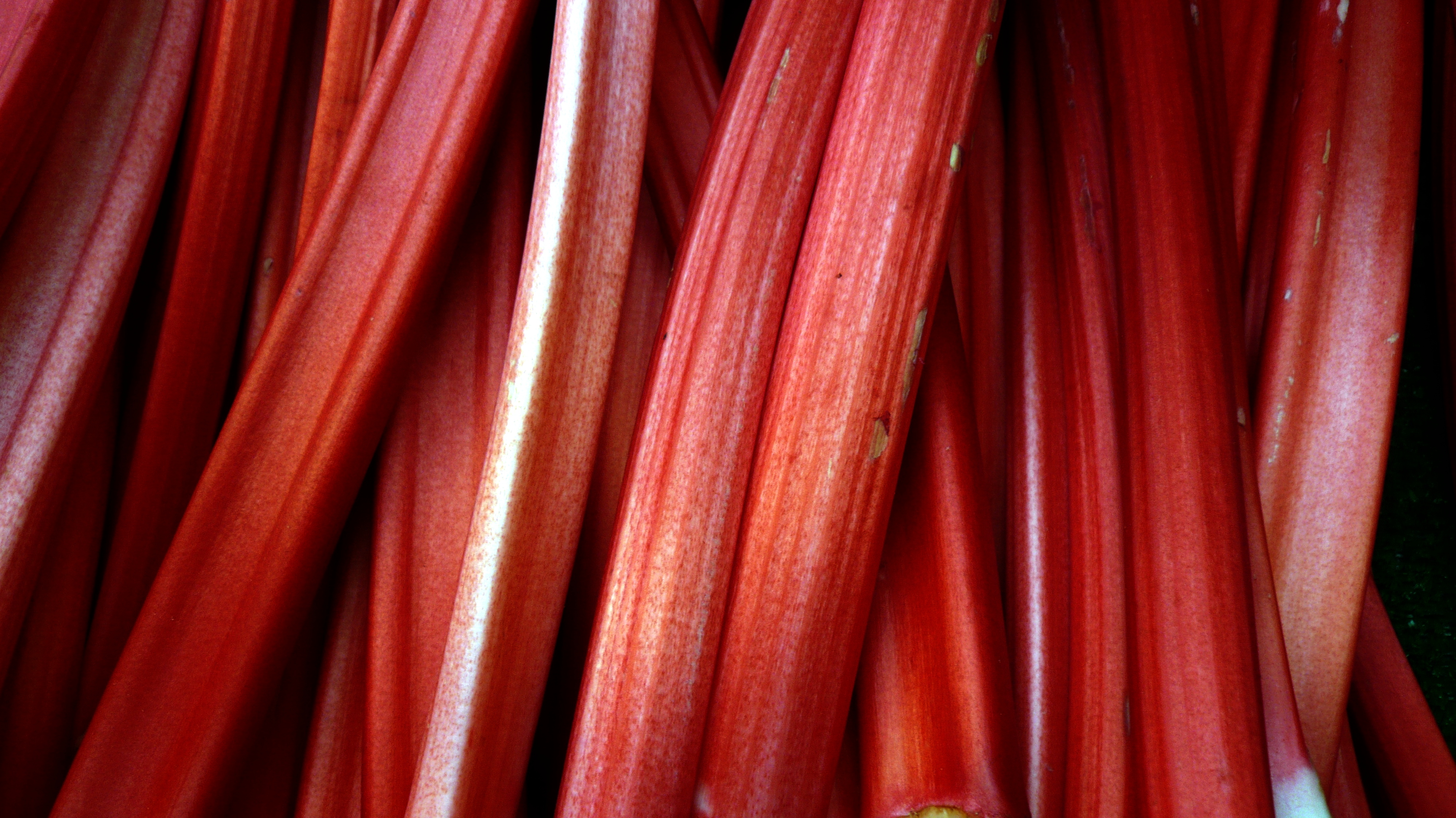 Rhubarb in Borough Market