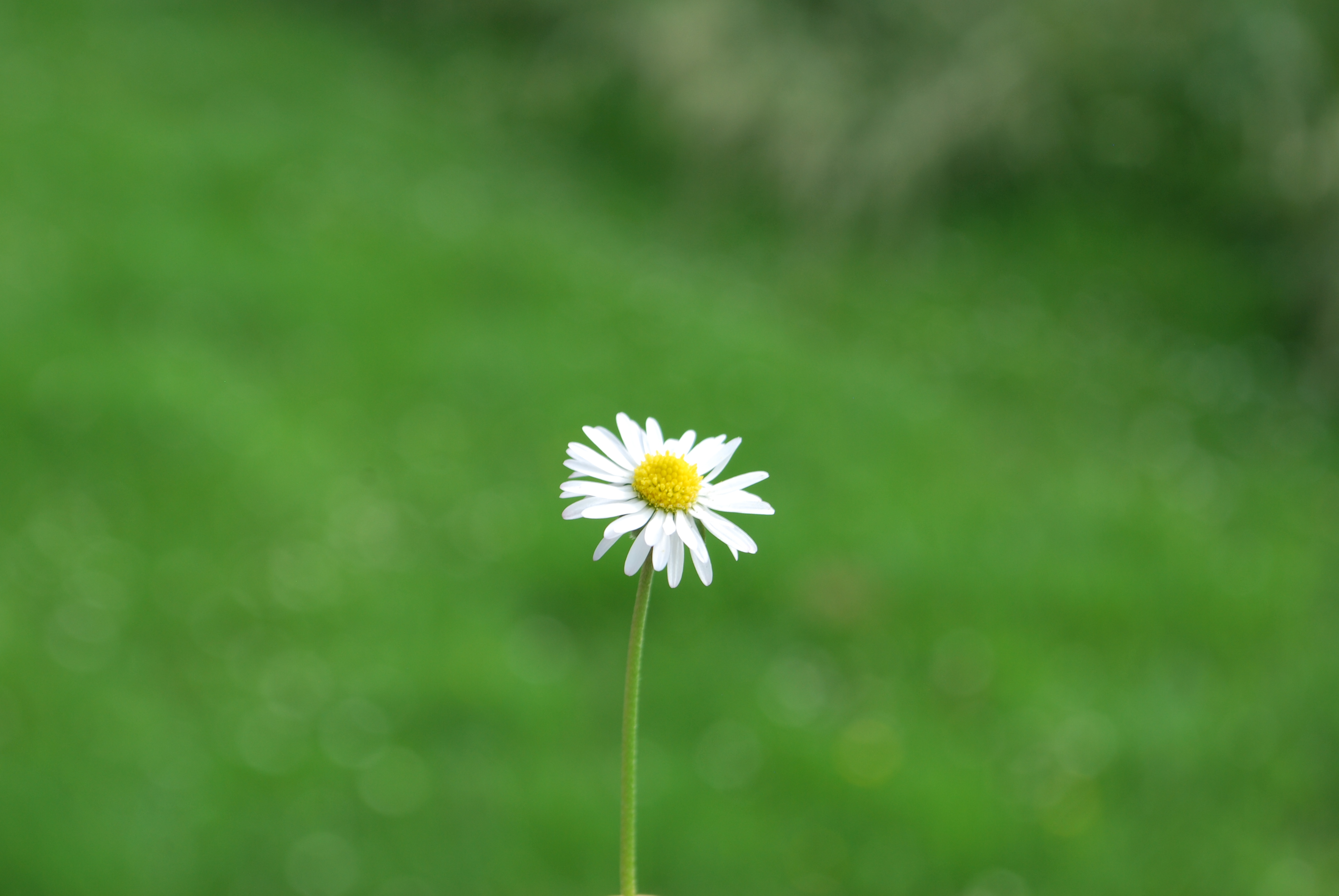 Rogačevo na 17 maj 2013g (183)
