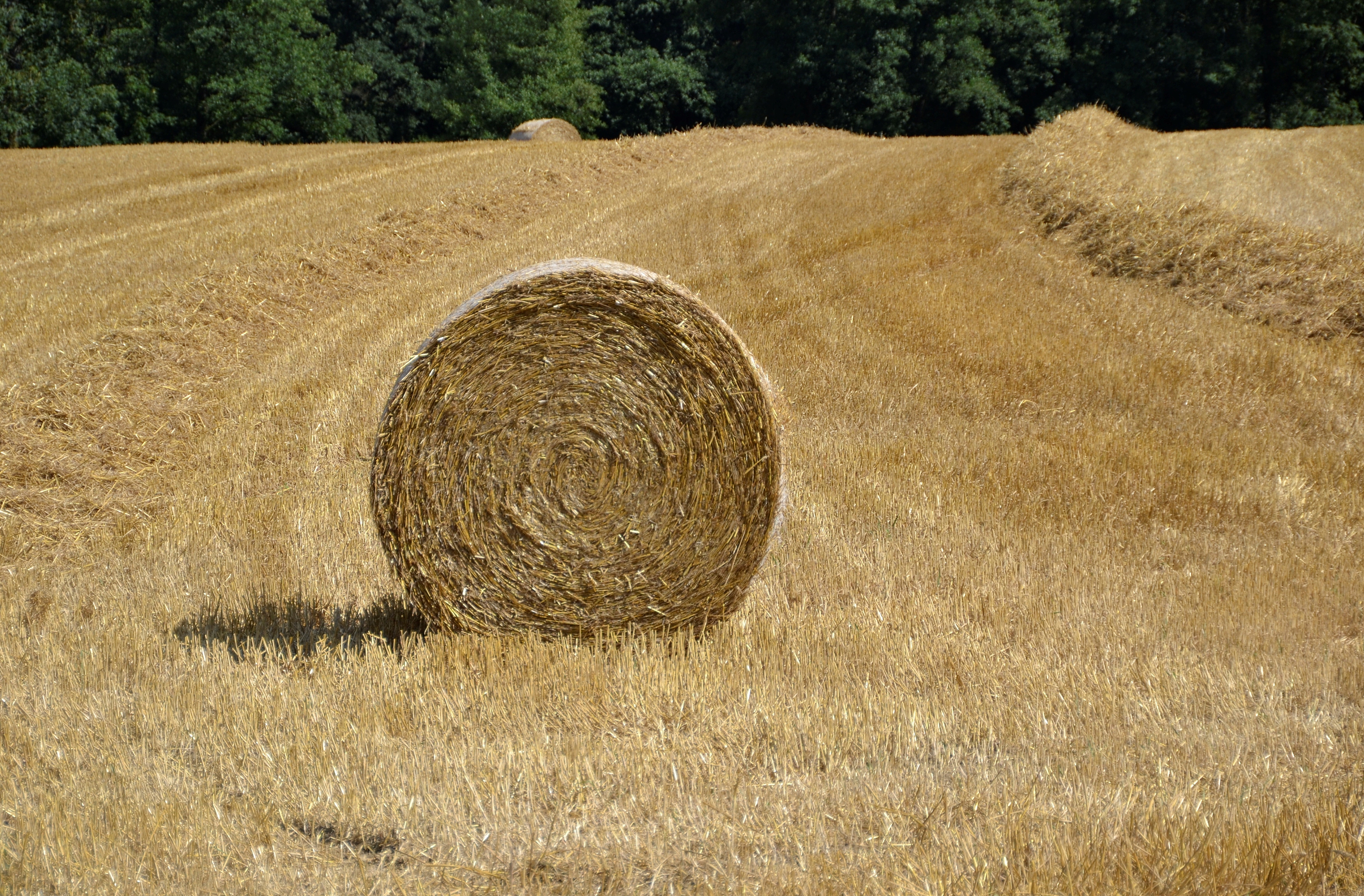 Round hay bales in Bavaria -02