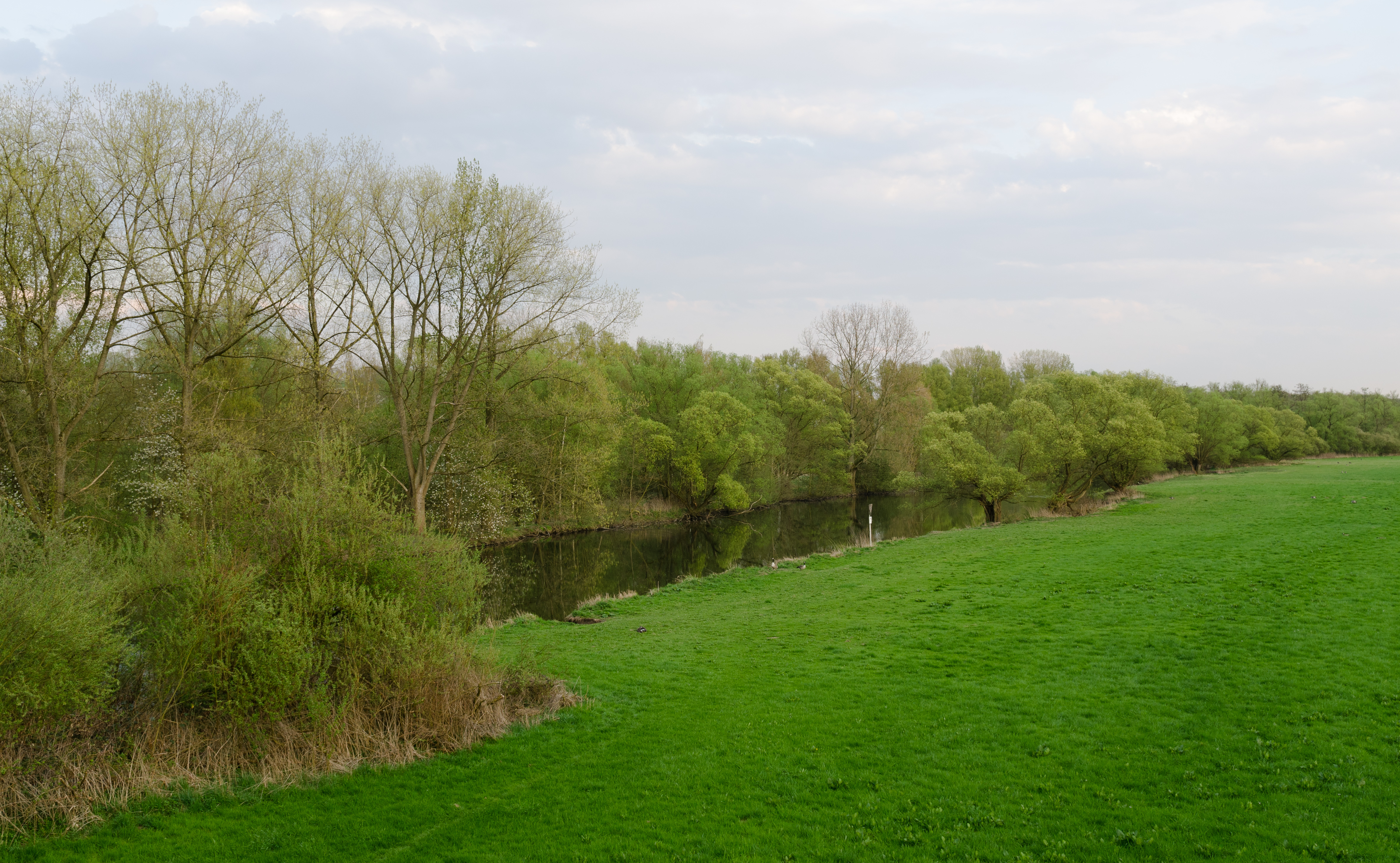 Ruhrwiesen-von-Mendener-Bruecke-2013