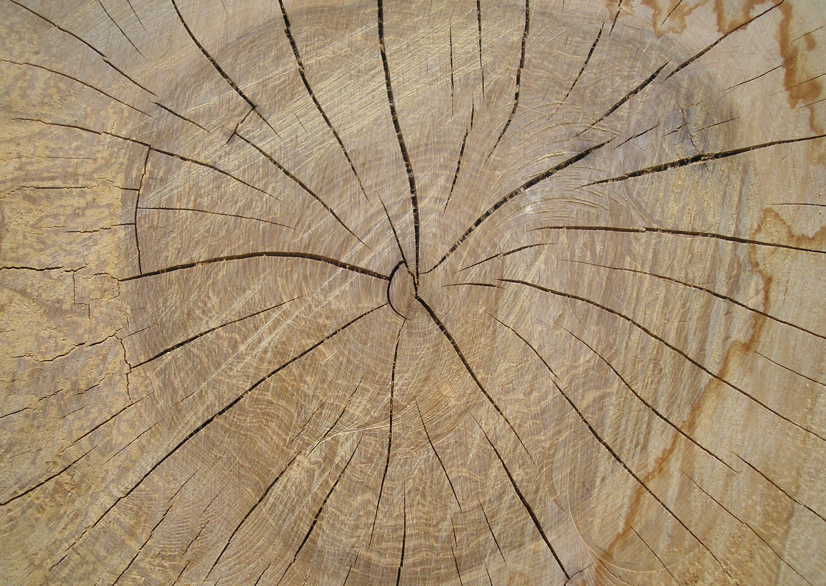 Saw cut texture2