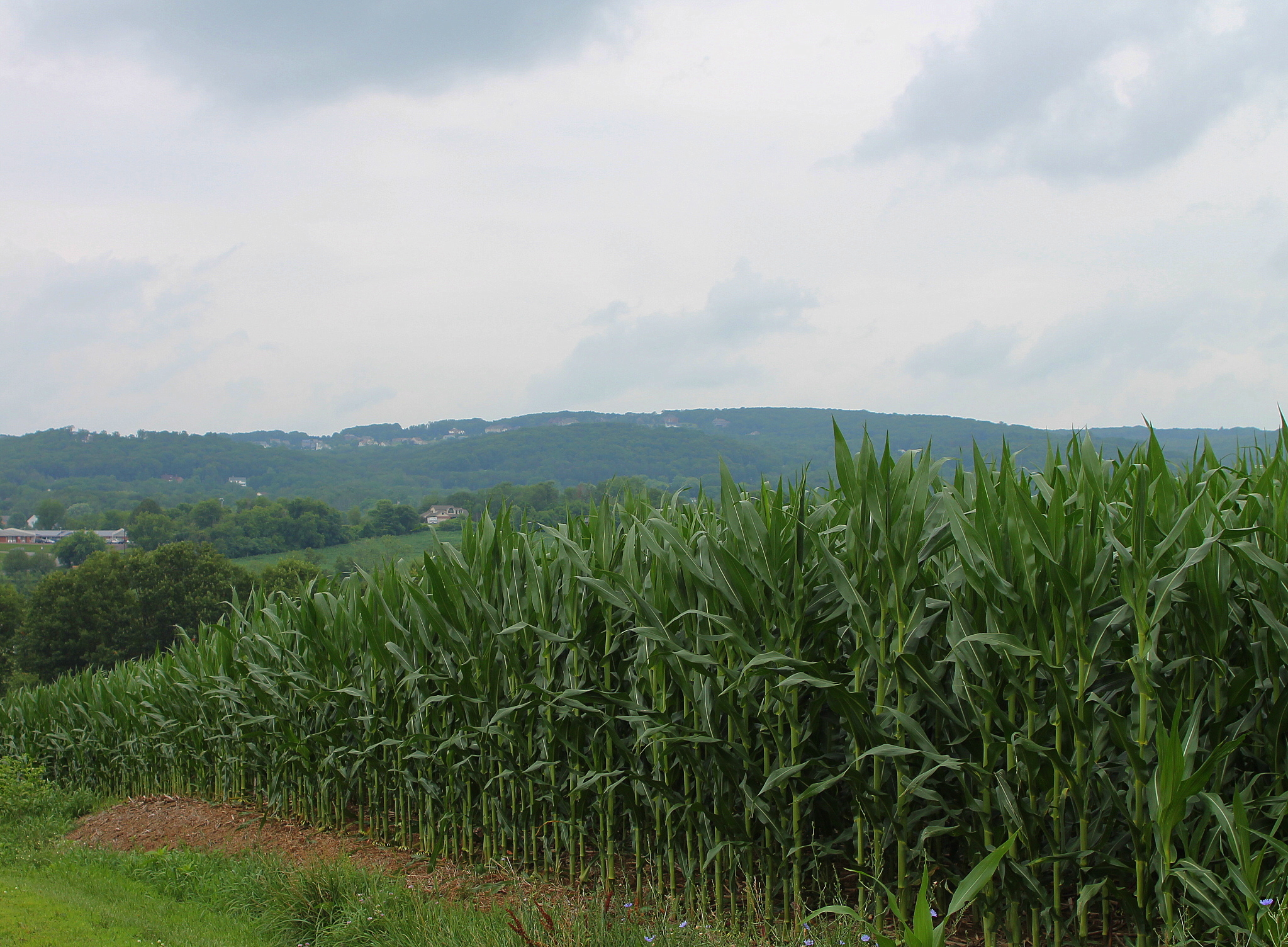 Scenery of Mahoning Township, Montour County, Pennsylvania