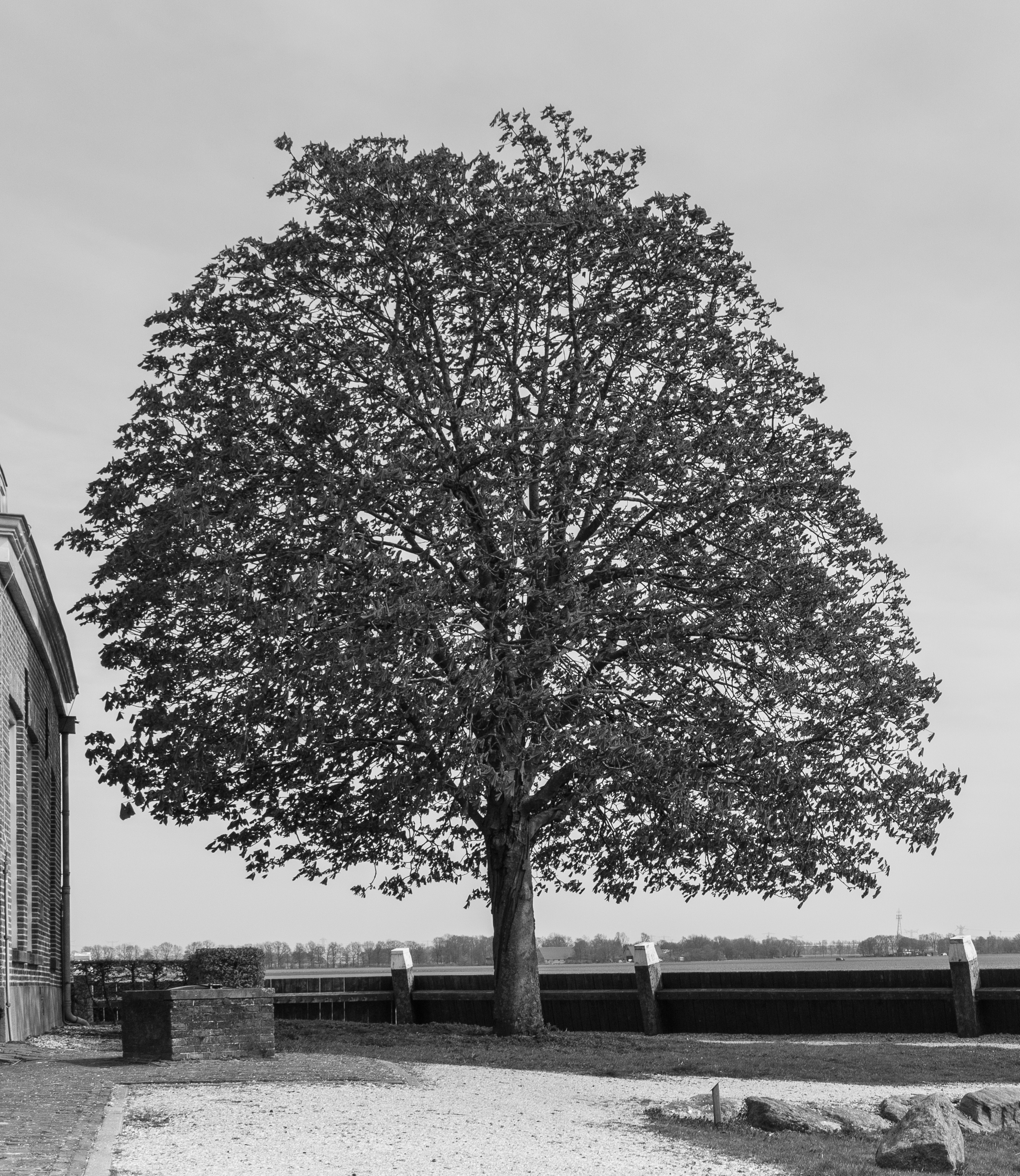 Schokland. UNESCO-Werelderfgoed actm 73
