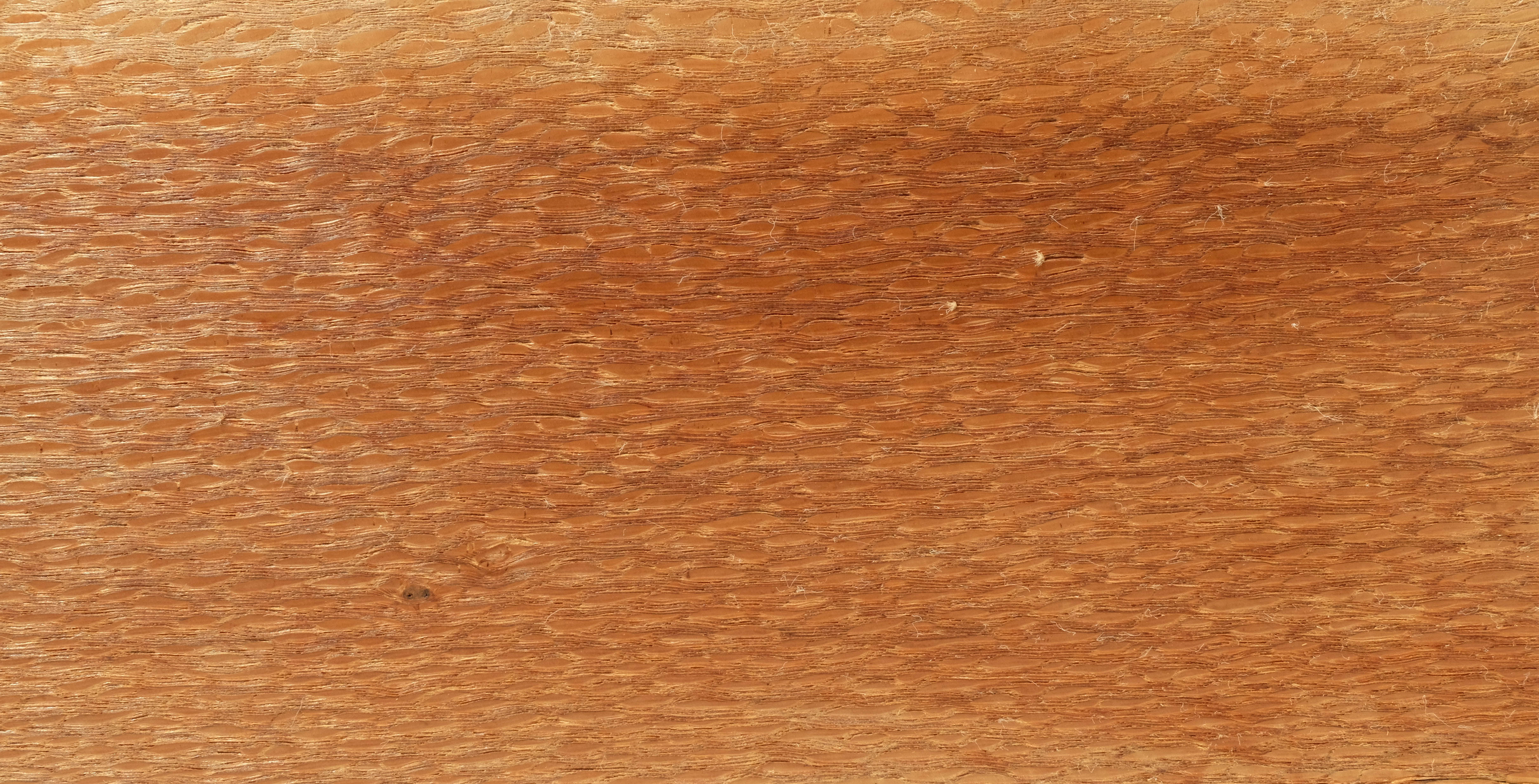 Silky Oak Holz