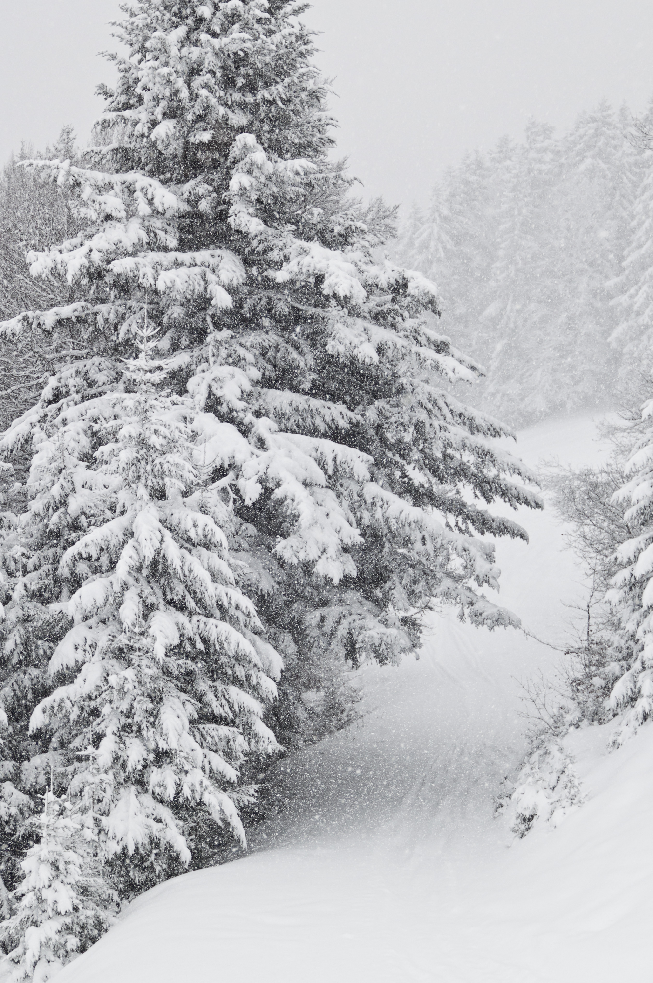 Snowstorm in Tyrol - 02