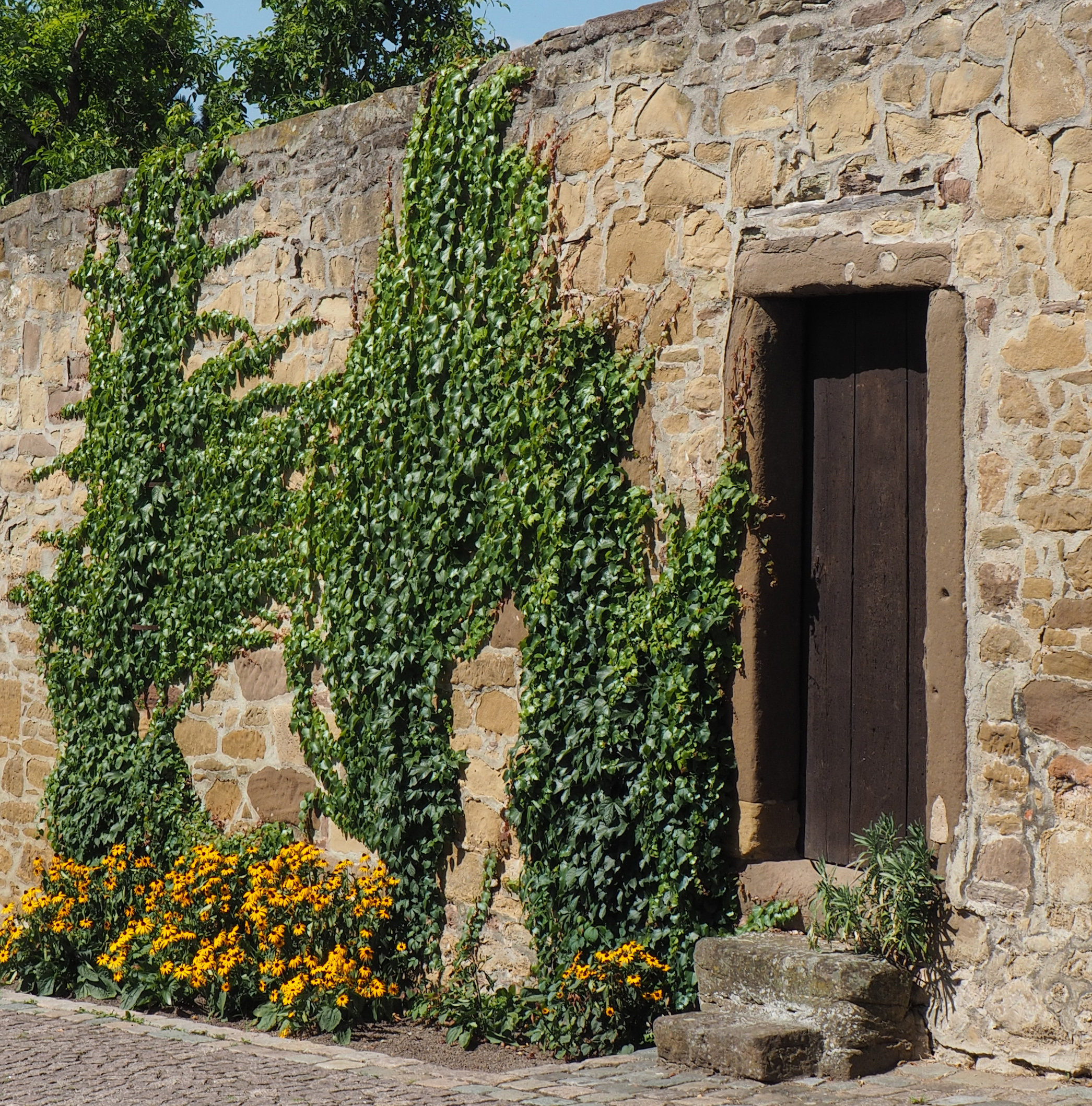 Stadtmauer Leonberg