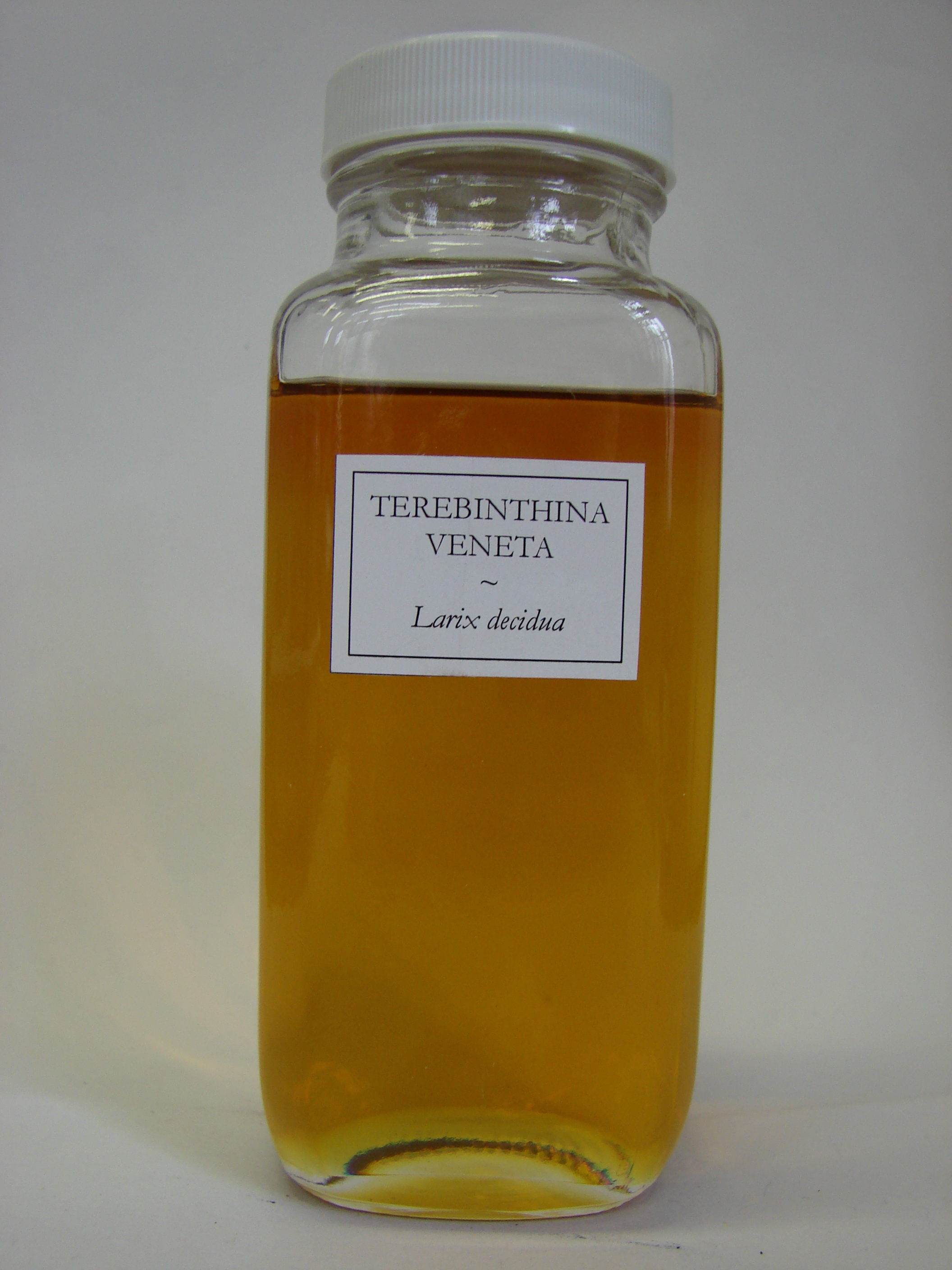 Terebinthina2