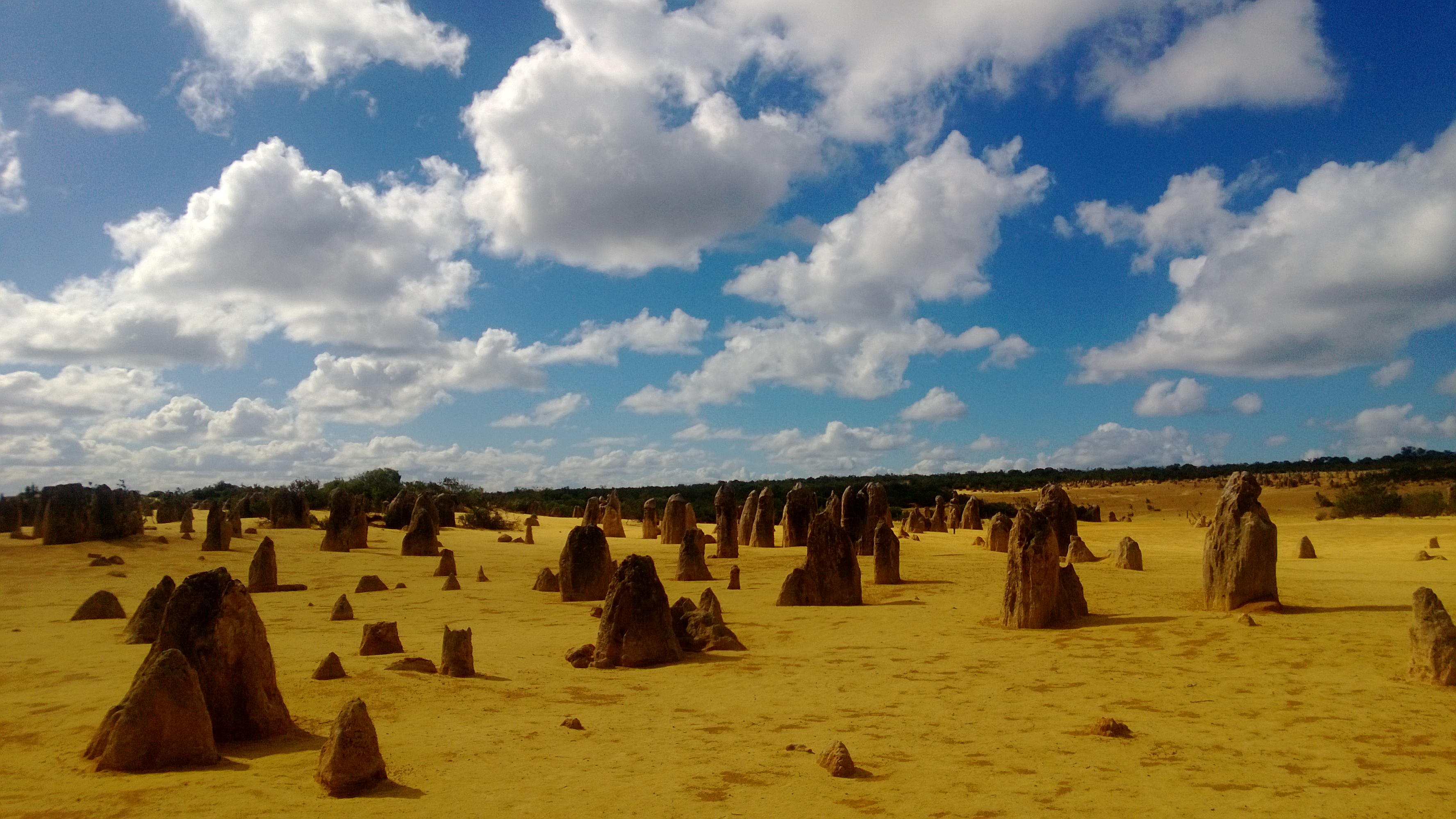 The Pinnacles W.A