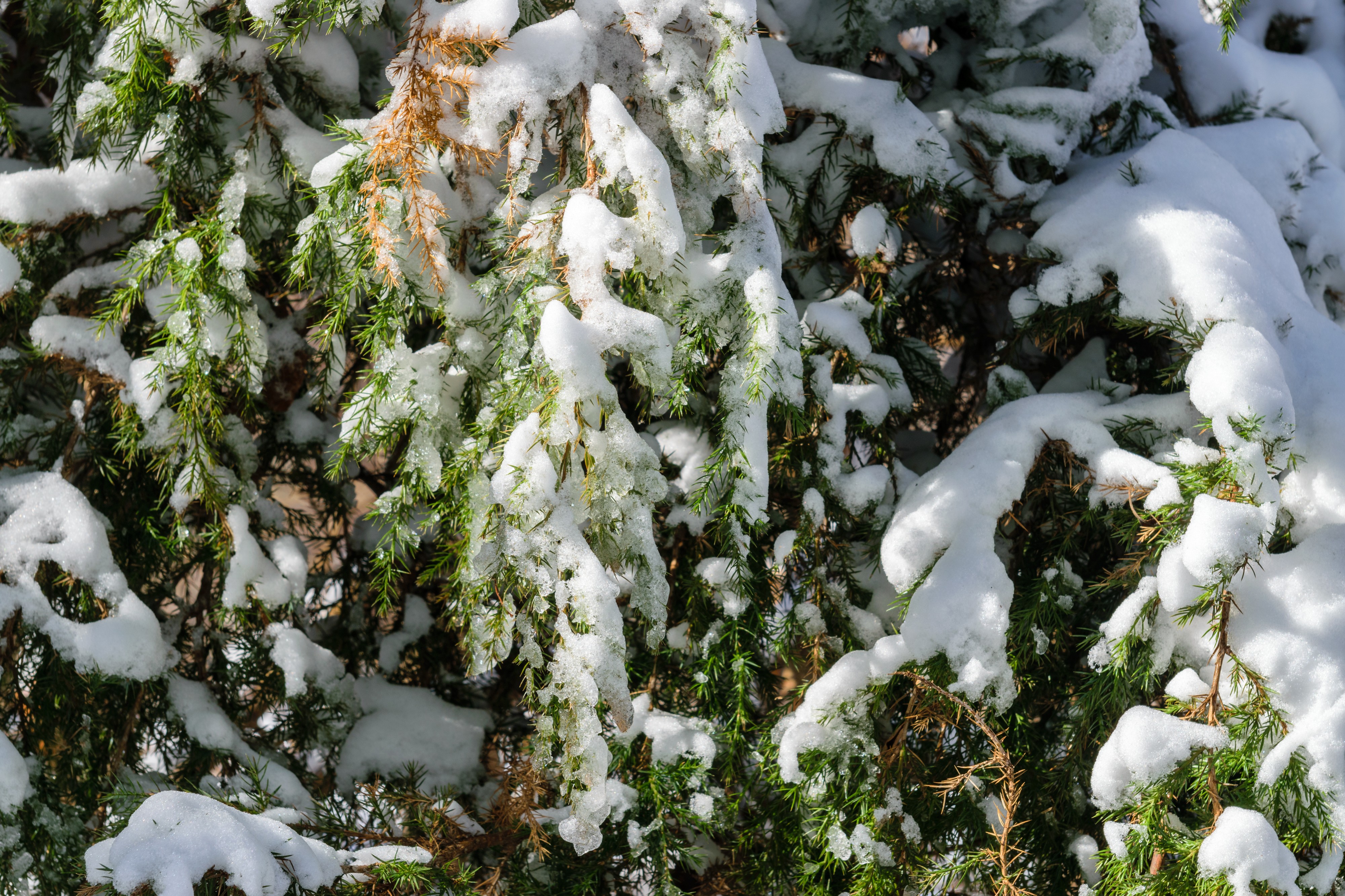 Aftermath of January 2018 North American blizzard 11