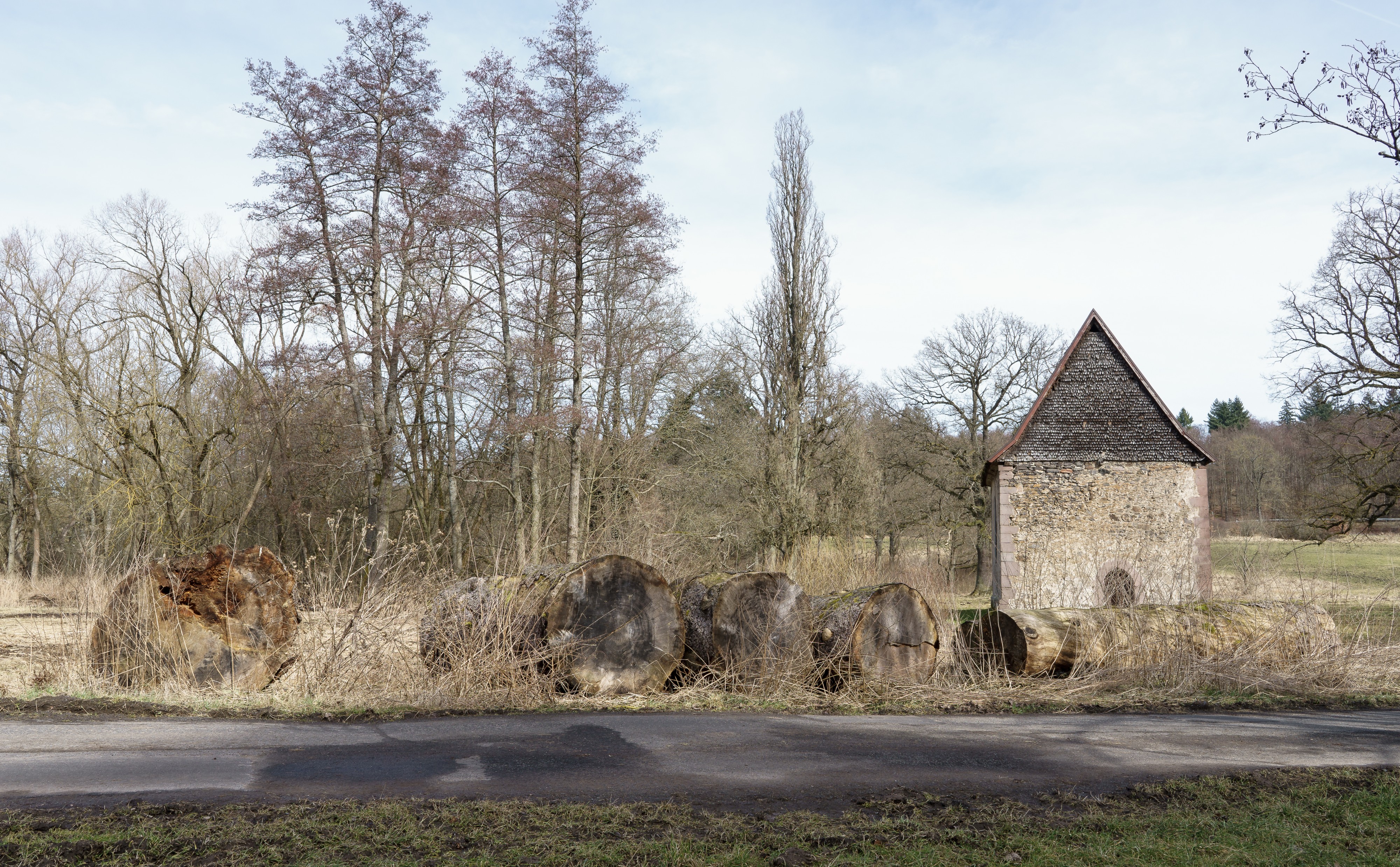 Annenkapelle mit Fichtenstamm