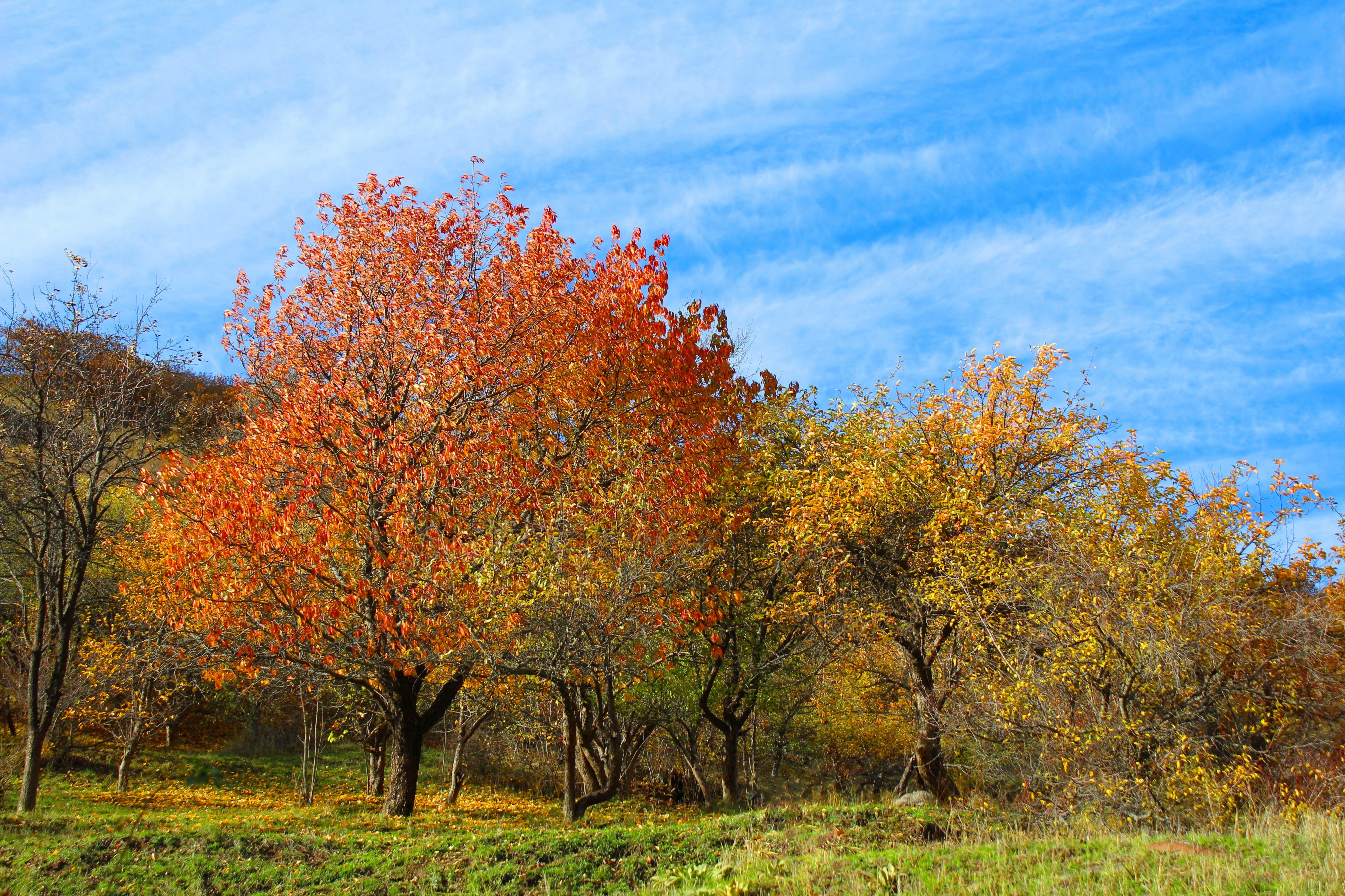 Autumn landscape in Aghveran