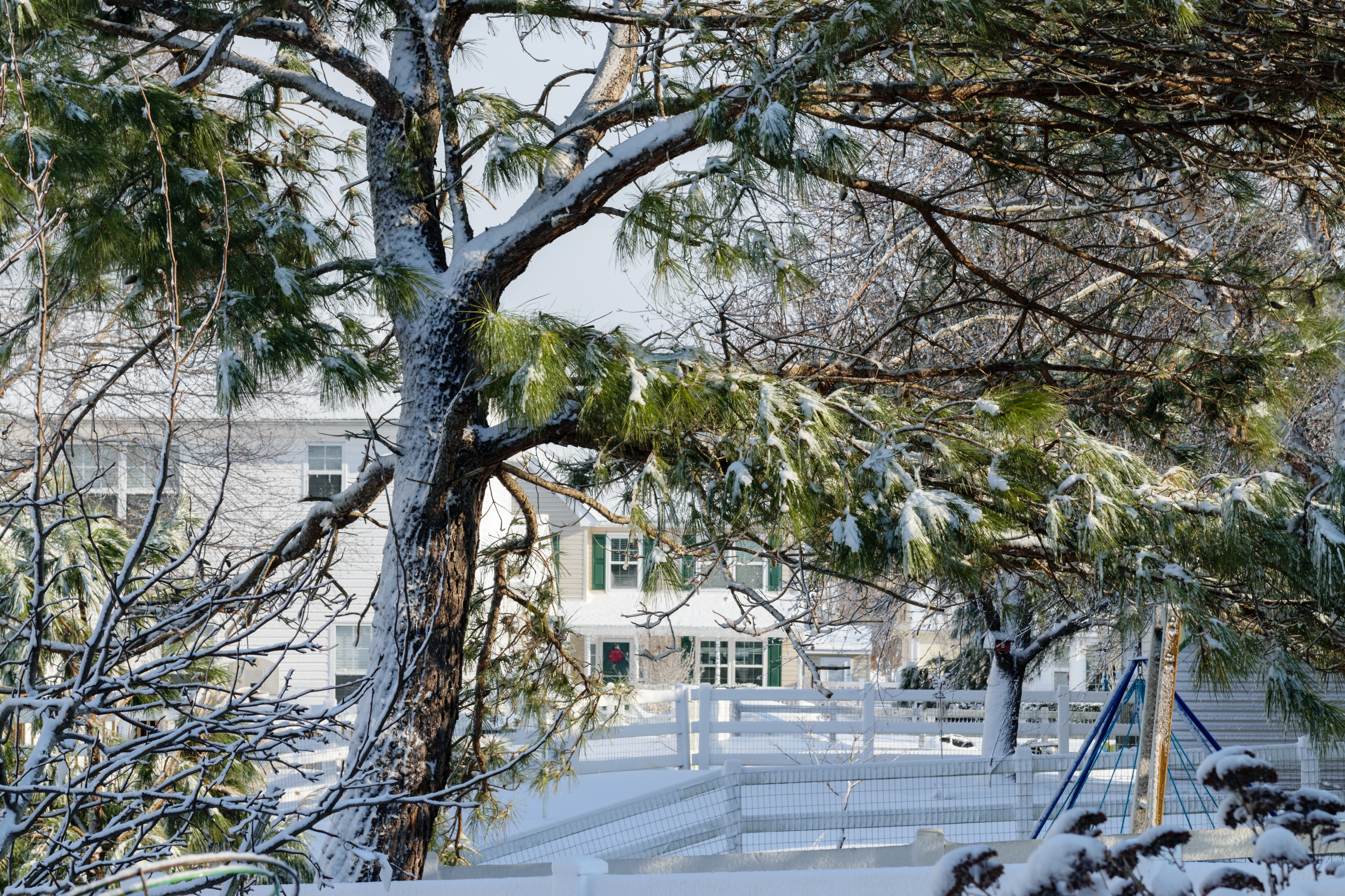 Back yard in January 2018 North American blizzard
