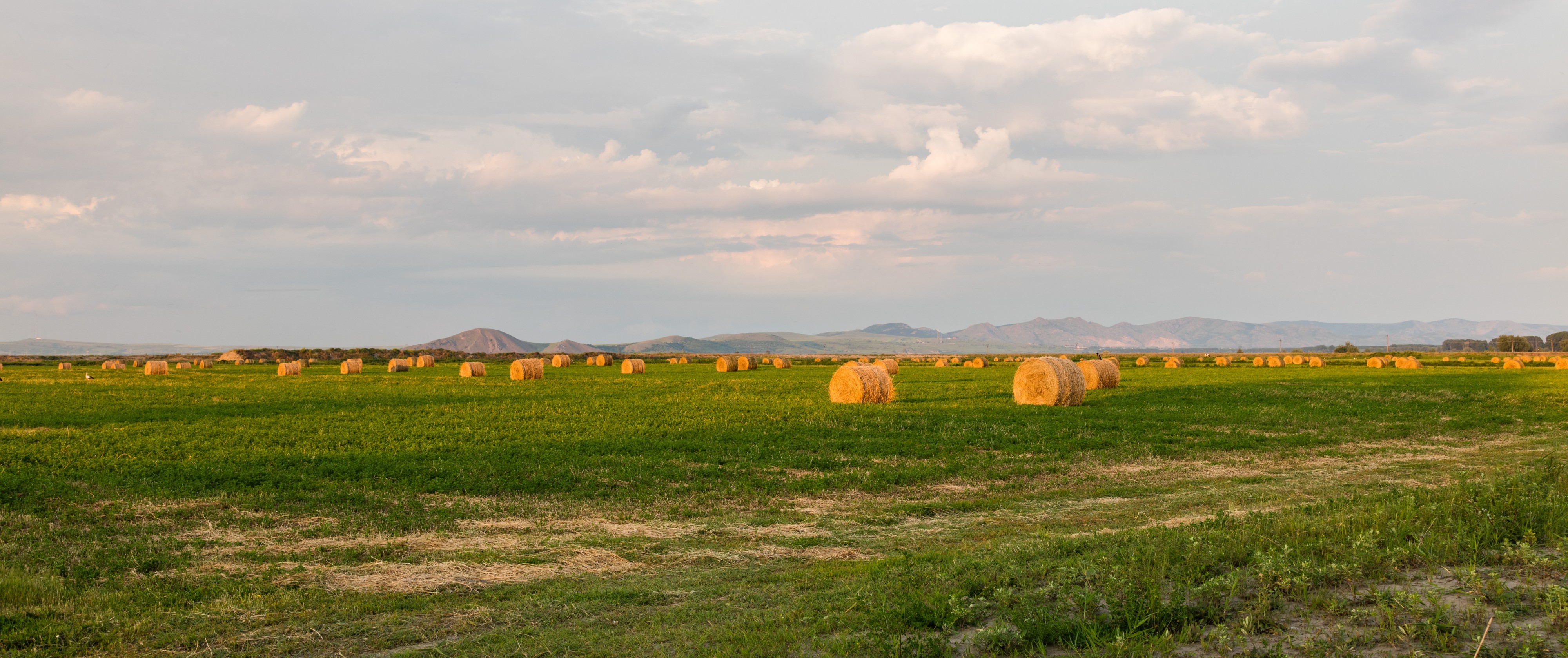 Balas de paja, Macin, Rumanía, 2016-05-28, DD 105
