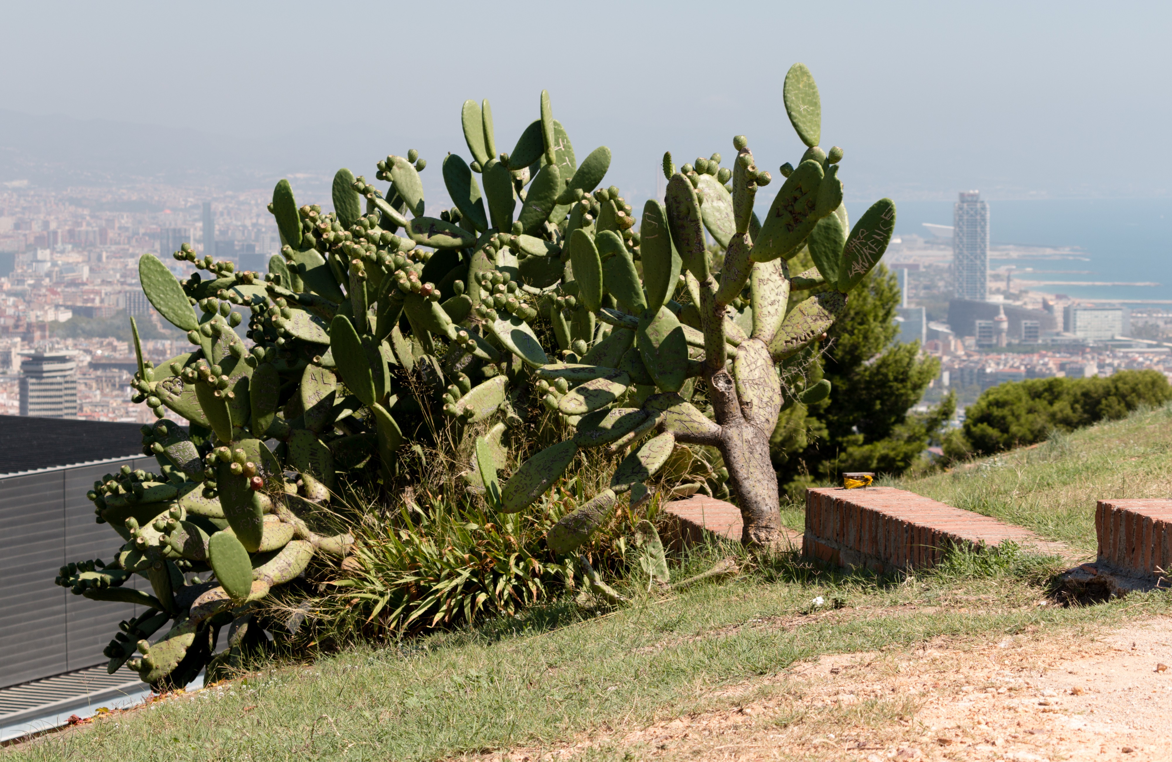 Barcelona August 2014 - Castell de Montjuic 019