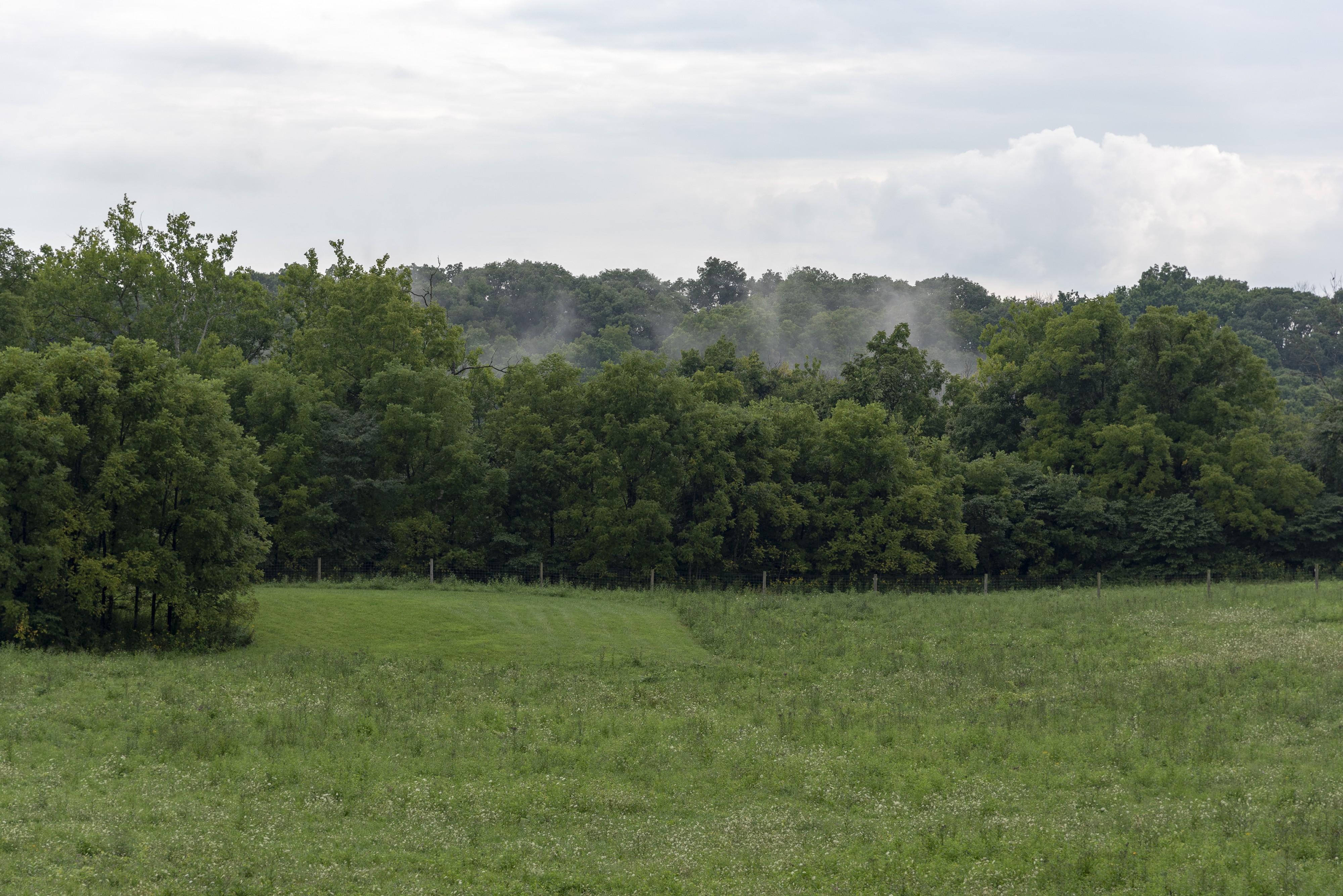 Battelle Darby Creek - Battelle Darby Creek Fog 1