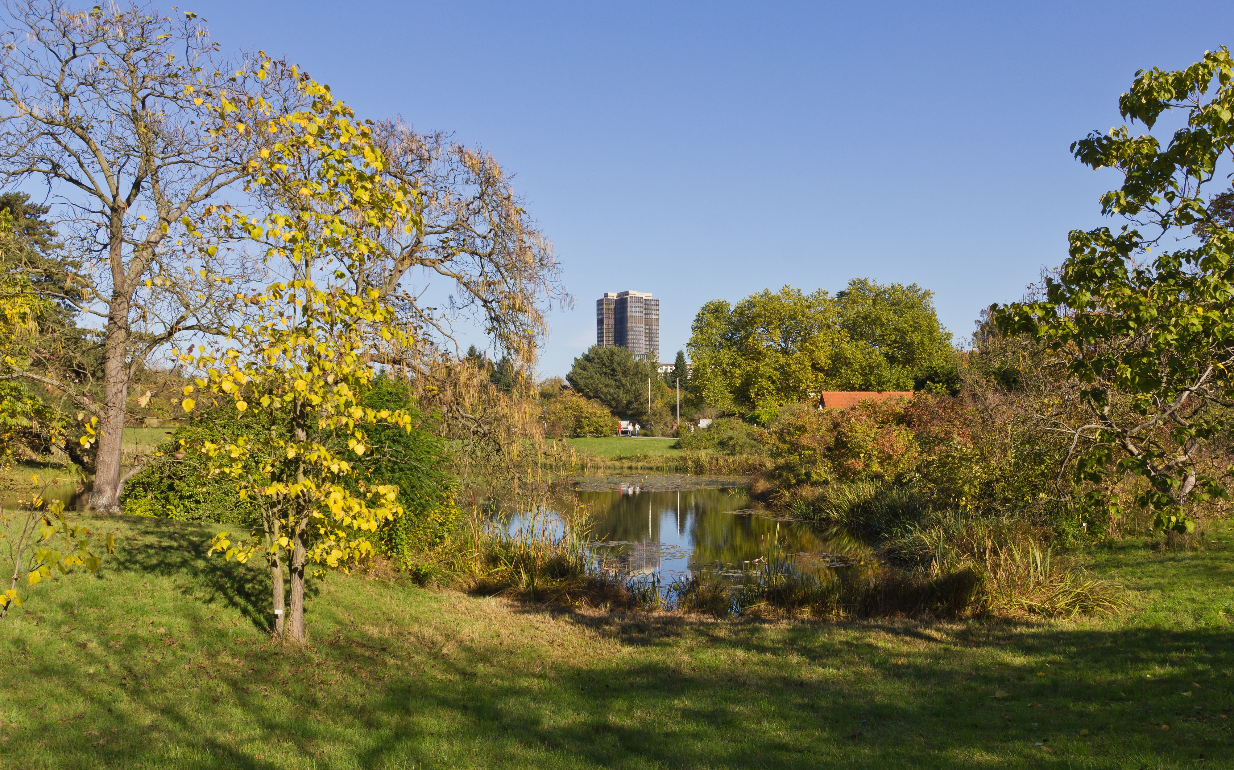Botanischer Garten Berlin-Dahlem 10-2014 photo02 pond