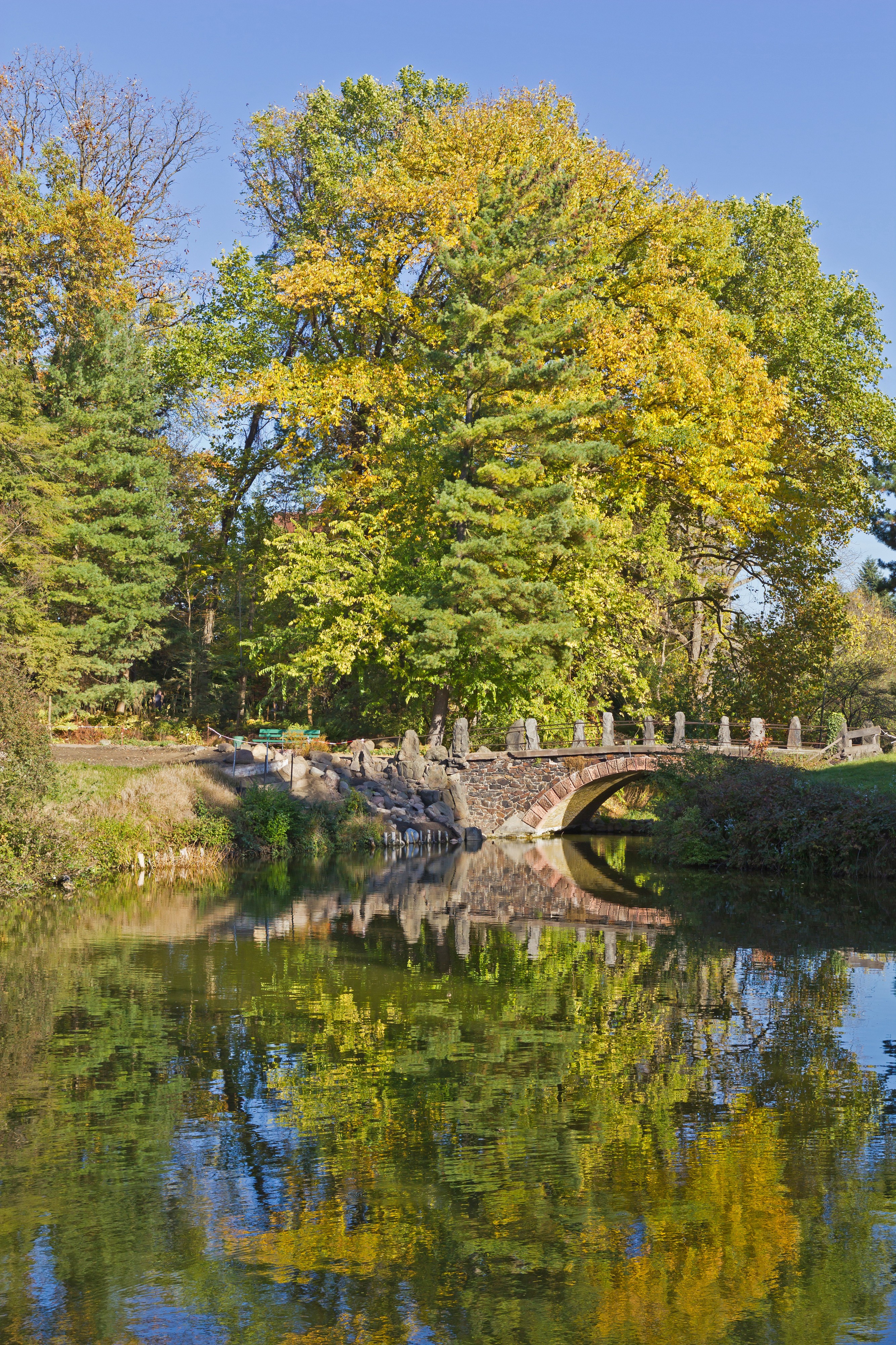 Botanischer Garten Berlin-Dahlem 10-2014 photo05 footbridge