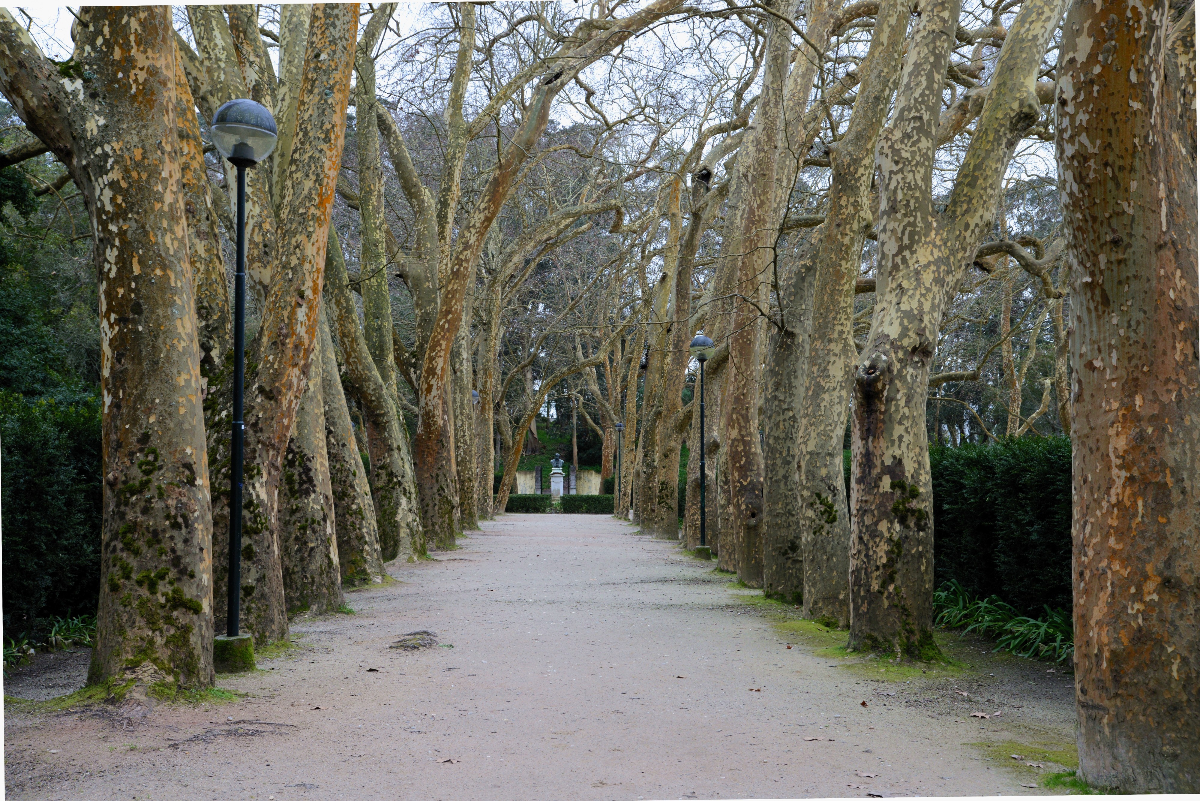 Caldas Rainha February 2015-1a