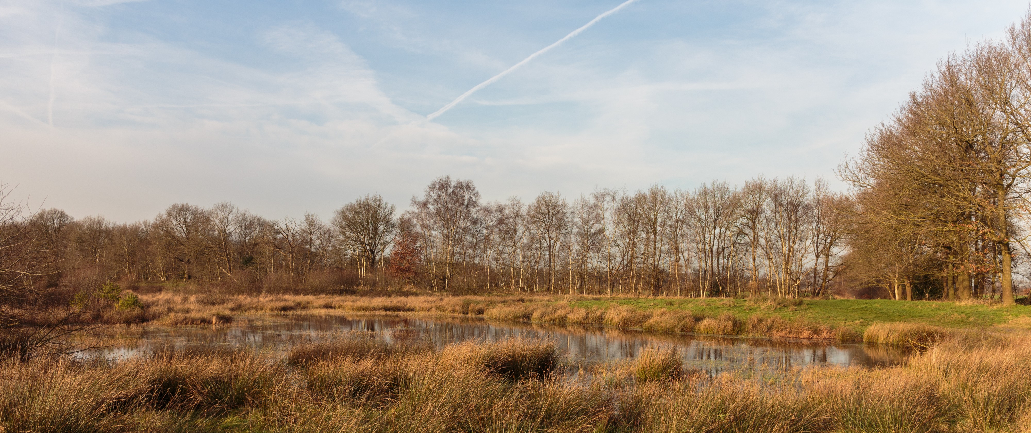 Diakonievene. Natuurgebied van It Fryske Gea 10