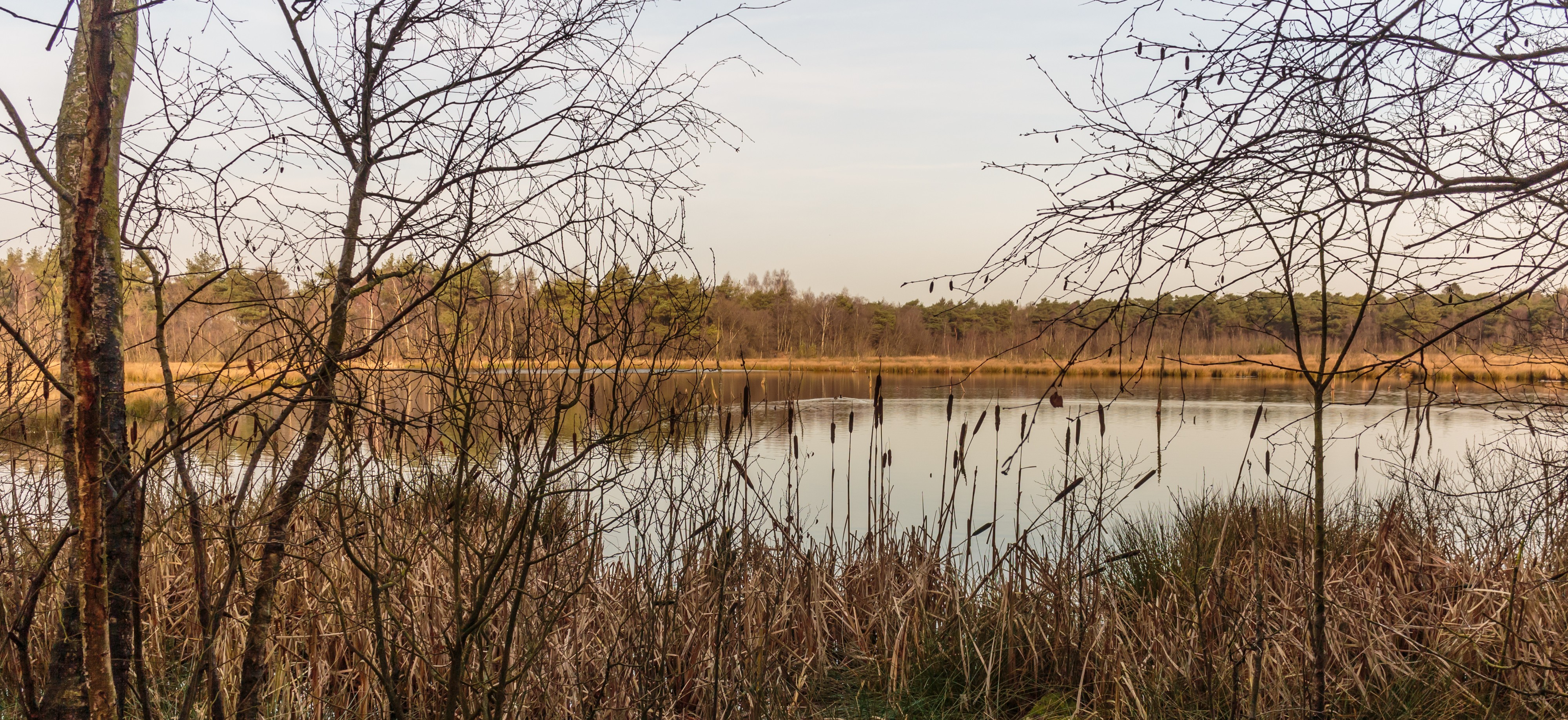Diakonievene. Natuurgebied van It Fryske Gea 22